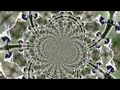 Fractal Paradais