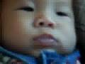 TJ Fishy Face