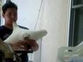 videos de Sandys Party 1