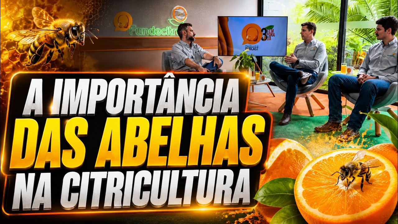A importância das abelhas na citricultura.