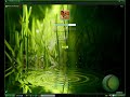 Como colocar skin no msn e Retirar