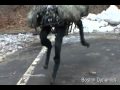 DARPA/Boston Dynamics  Big Dog