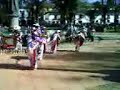 danza de los viejitos danza de los viejitos