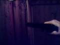 videos de Walter PP