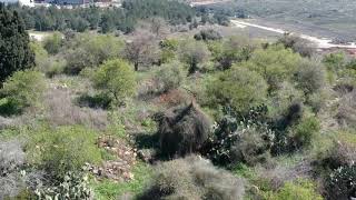 قرية خروبه المهجره عام ١٩٤٨ (تصوير جوي)