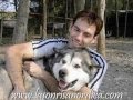 Perros Nórdicos LSN