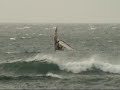 Windsurf, best of SKAMPY (Maui, Brasil, Maroc, Australia) Windsurf, best of SKAMPY (Maui, Brasil, Maroc, Australia)