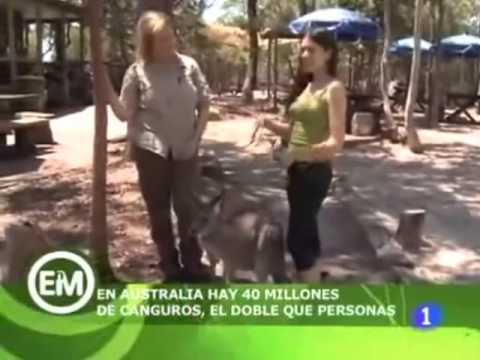 Imagen de previsualización de YouTube