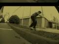 FUNKY MONKS TRAILER