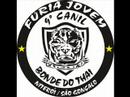 FJV + FJB