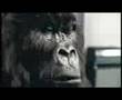 dairy-milk-advert