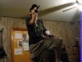 Vermilion Vocal Cover