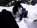 videos de Siddiq Paracha, falling
