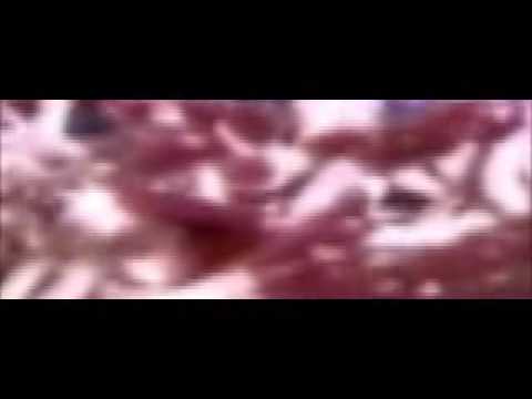 Lord Open - murky