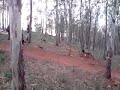 V211109_17.28.3gp