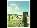 Itchy Bit - Later