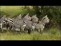 Never Give up: Inspirational video