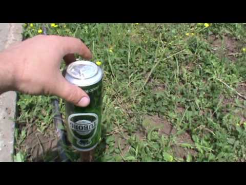 Отпугивание кротов на дачном участке Отпугивание кротов на дачном участке