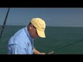 Bullievable! CHEW ON THIS multiple Sharks