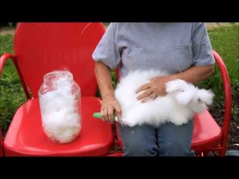 how to dye rabbit fur