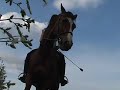 Under horses 5 - 2nd camera - part 3 Under horses 5 - 2nd camera - part 3