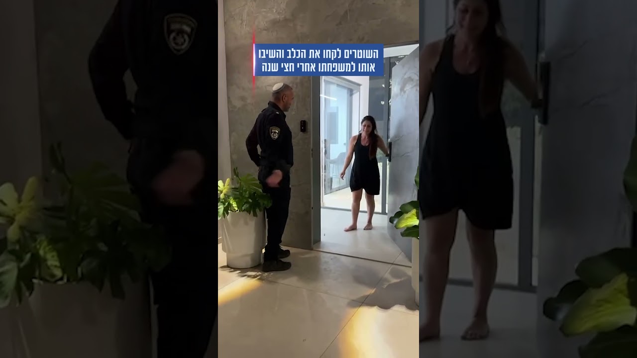 ה* סימבה נגנב ממשפחתו והושב לאחר חצי שנה