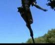 Gibbon Jungle Riders Club - Summer Riding Sessions