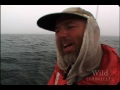 National Geographic Wild Chronicles : Blue Whales