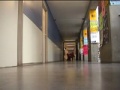 Film de l\