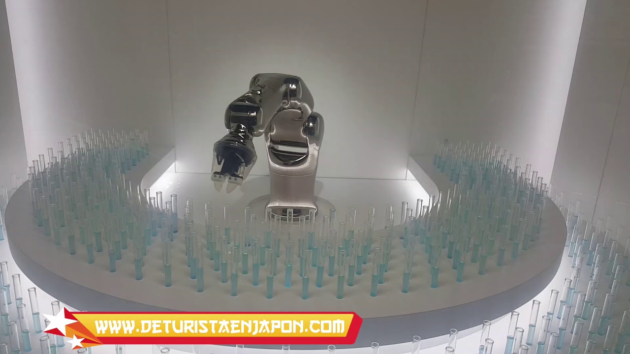 Robot de precisión Huis Ten Bosch en Sasebo, Japón