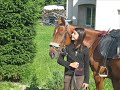 MON ECURIE ME MANQUE TROP MES MA PTITE HYDILLE ET VENU DAN MON NEW CLUB