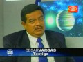 pinguino sobre arbol en hidalgo