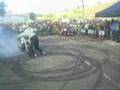 ZERINHO MOTO SHOW ...