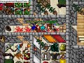 Terror in Amazon Camp - Tibia Lucera