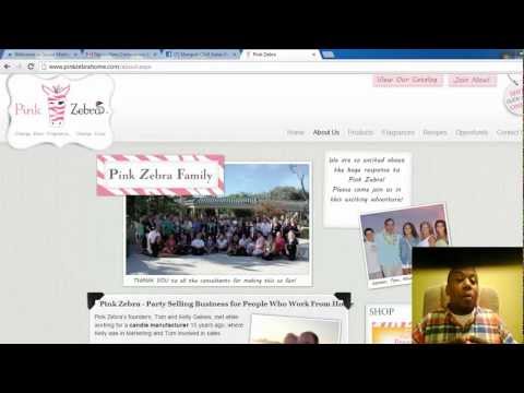 Pink Zebra | Why Pink Zebra Associates Struggle!