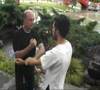 Ving Tsun Foshan CHI SAO Básico