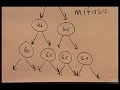 Cell Biology II