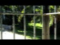 SONHO DE HABITAR GUIMARÃES #200805
