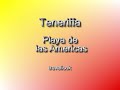 teneriffa playa de las americas     www travellook tv