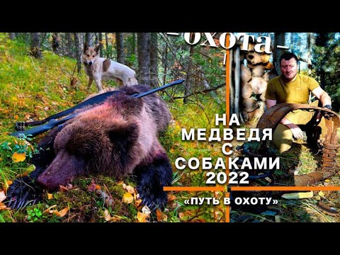 Путь в Охоту. На медведя с собаками