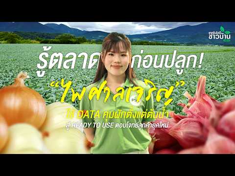 “ไพศาลเจริญ” ใช้ Data คุมผักตั้งแต่ต้นน้ำ สู่ Ready to Use ตอบโจทย์ลูกค้ายุคใหม่ | เทคโนโลยีชาวบ้าน