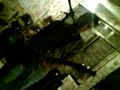 Desnivel [Ven aqui(en vivo)]