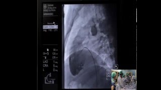 José Pascual Salas Llamas-16