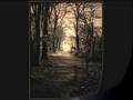 Penélope - Robi Draco Rosa (New)