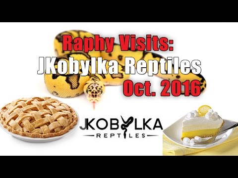 YouTube reptile video