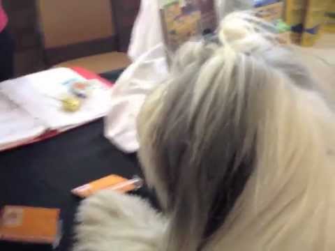YouTube Preview Image