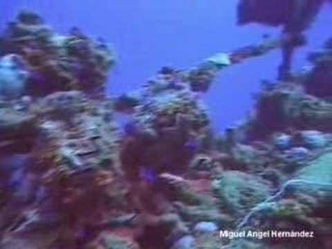 San Francisco Maru