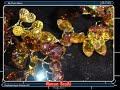 Swarovski Crystal Jewellery Swarovski Crystal Jewellery
