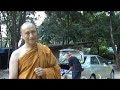 Buddhist Monk talks about Dogs