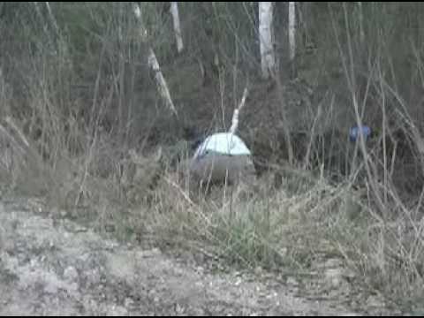 moose rescue 20080520
